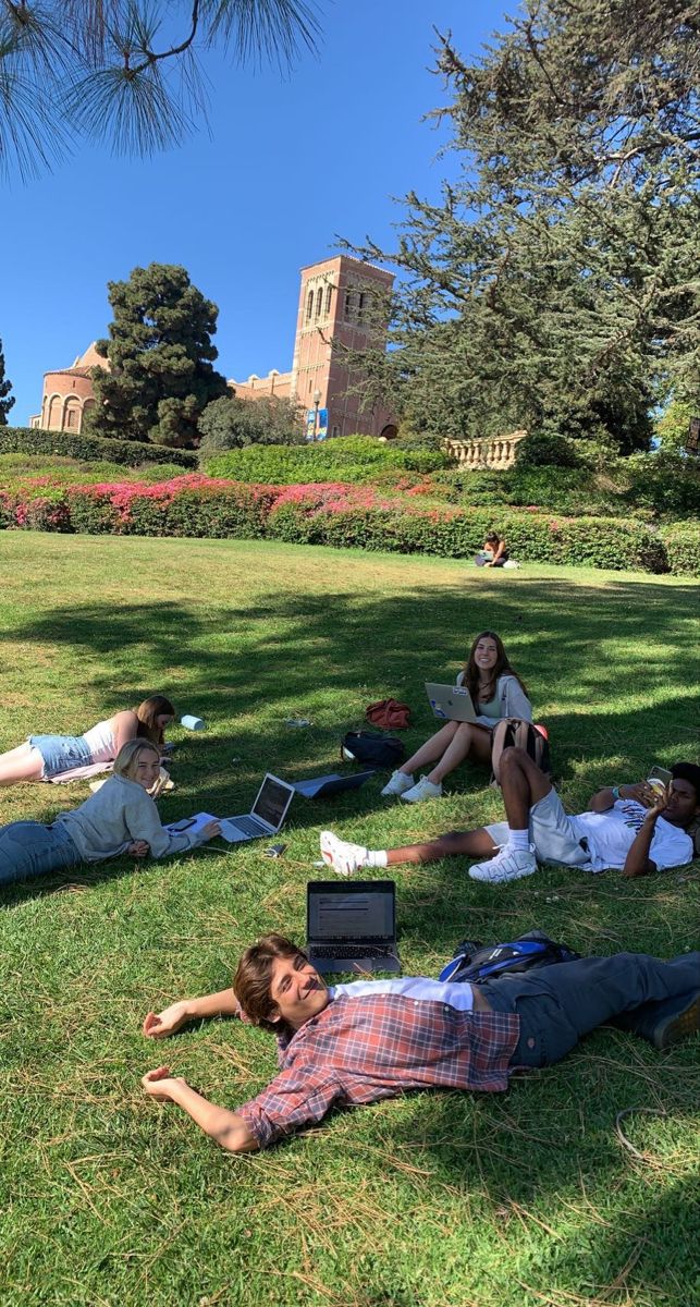 Students working together on a campus lawn
